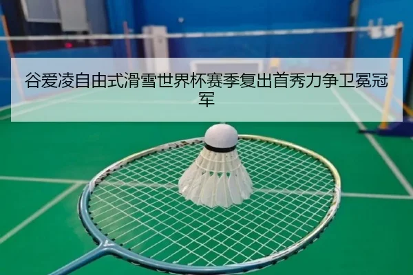 gu-ai-ling-zi-you-shi-hua-xue-shi-jie-bei-sai-ji-fu-chu-shou-xiu-li-zheng-wei-mian-guan-jun-2-781.jpg